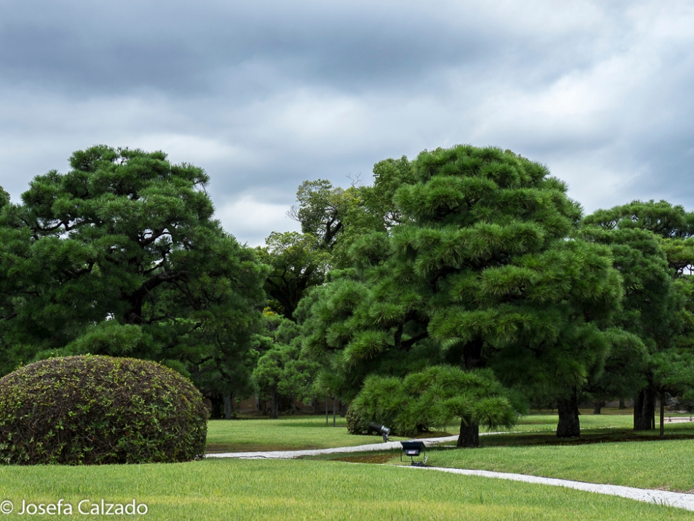 Parte occidental del jardín Seiryu-en