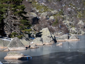 Detalle rocas graníticas dentro de la Laguna Negra