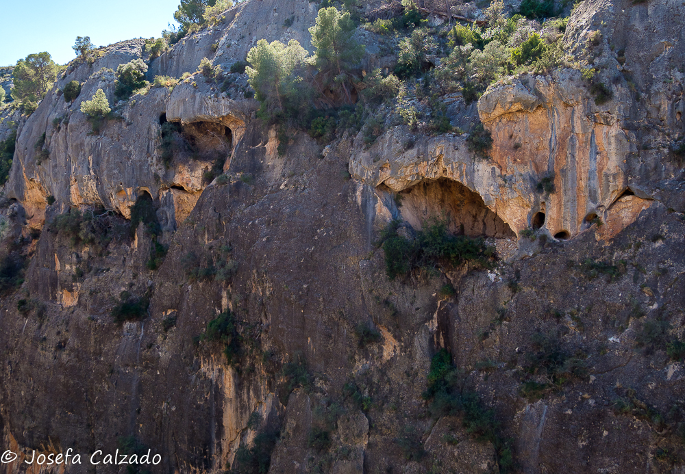 Cuevas en la ladera